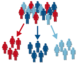 Customer Groups