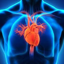 Heart Disease Predictions